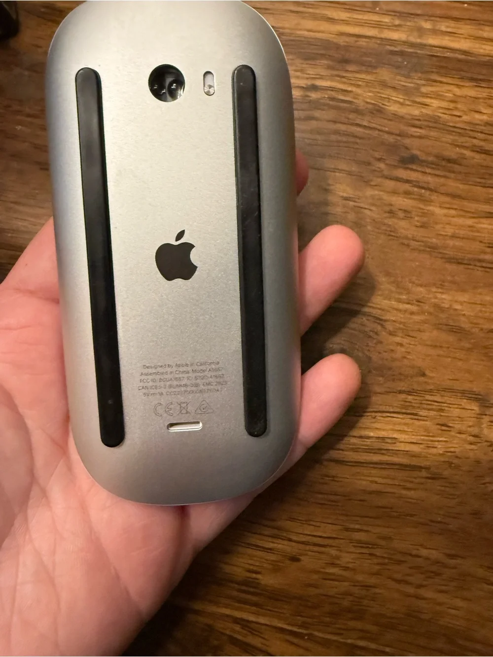 Apple Magic Mouse in Silver with Black Accents